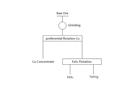 a flowchart about direct priority flotation of copper-sulfide ore.jpg